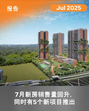 Monthly Developer Sales July 2025 (Mandarin)
